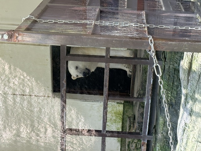 image0.jpeg