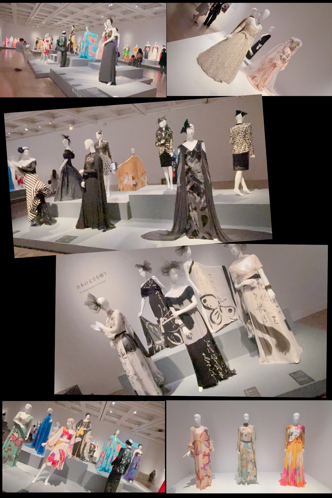 image7.jpeg